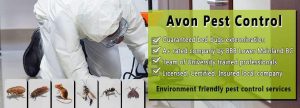 Avon Pest Control Inc photo 3