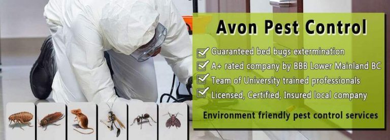 Avon Pest Control Inc photo 5