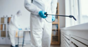 Avon is the top choice for pest control in Vancouver