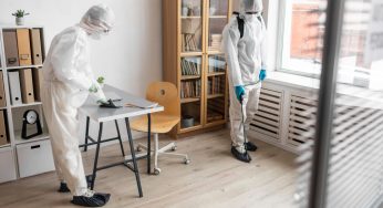 Your Surrey Bed Bug Exterminator: Avon Pest Control