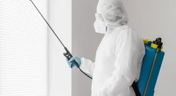 Avon Pest Control: Your Defender Against Intruders
