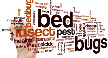 11 Dangerous Bugs That Are Sure to Ruin Your Summer