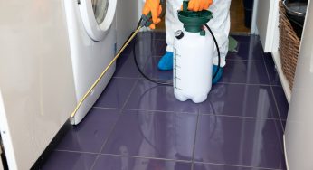 When You Know It’s Time to Contact a Bed Bug Exterminator