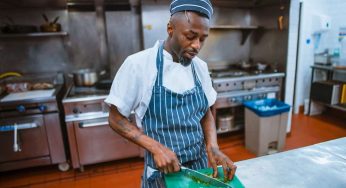 Pest Control for Commercial Kitchens and Restaurants