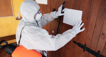 Trust Avon Pest Control for Vancouver Bed Bug Extermination