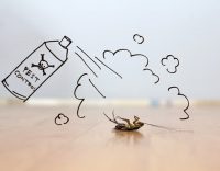 5 Common Pests Every Restaurant Owner Should Watch Out For