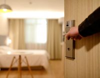 Pest Control Solutions For Your Commercial Building