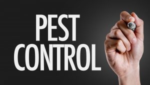 pest control