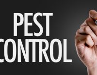 5 Ways to Ensure Your Warehouse is Pest Free