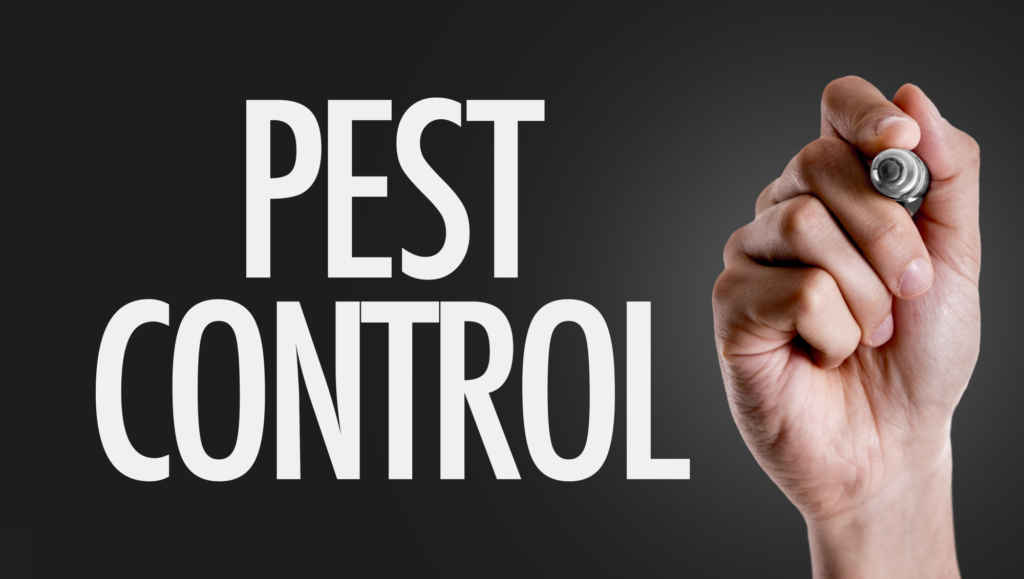5 Ways to Ensure Your Warehouse is Pest Free