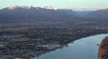 Pest Control Pitt Meadows & Maple Ridge BC