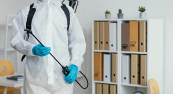 You Can Trust Avon Pest Control Vancouver