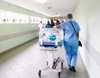 How to Keep Your Hospital Pest Free