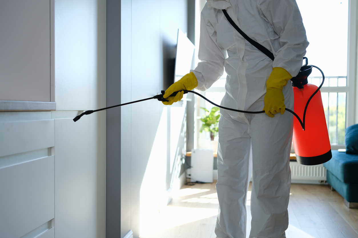 What are the Benefits of a Pest Removal Company?