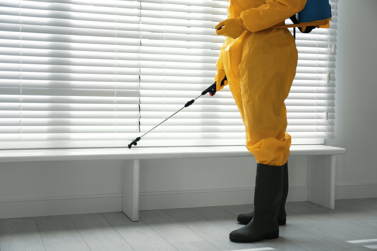 Preventing Pests with Regular Maintenance