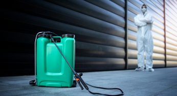 Trusted Vancouver Exterminator Avon